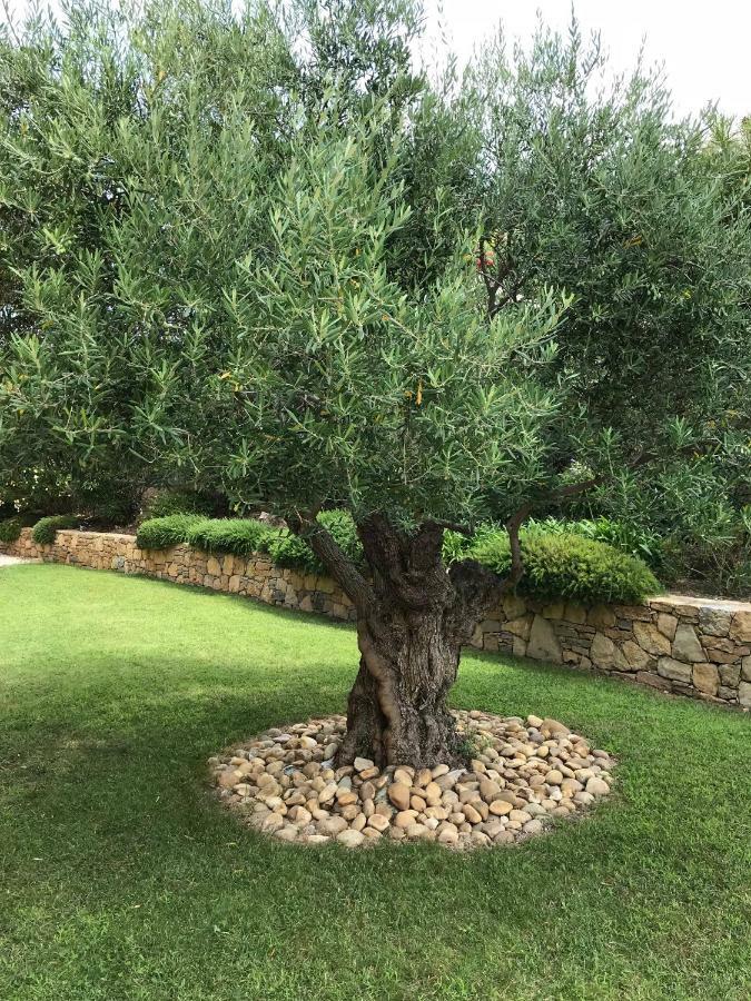 Belle Villa Dans Clos Prive - Saint Raphael Boulouris Exterior foto