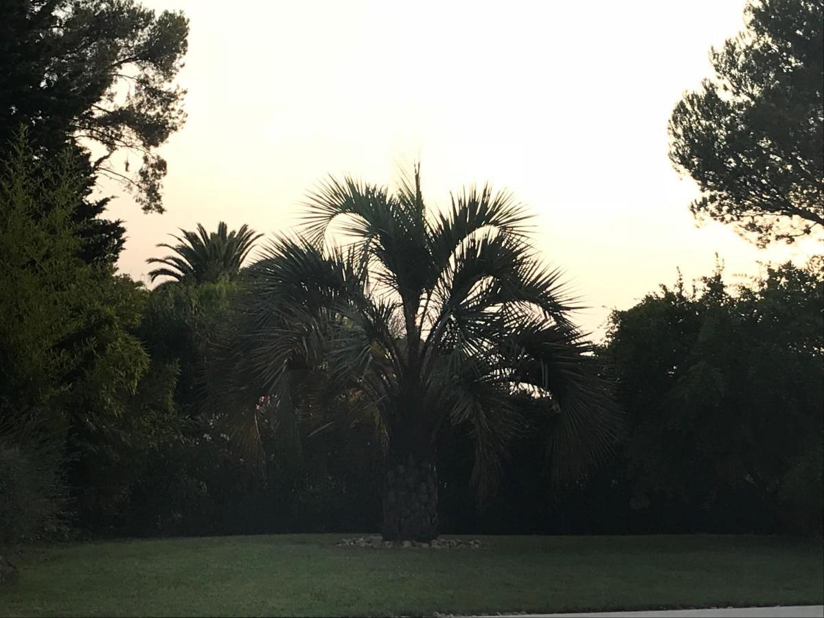 Belle Villa Dans Clos Prive - Saint Raphael Boulouris Exterior foto